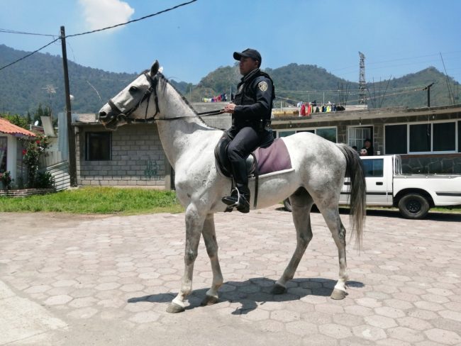 Vigila Policía Montada zona cerril de Xochimilco