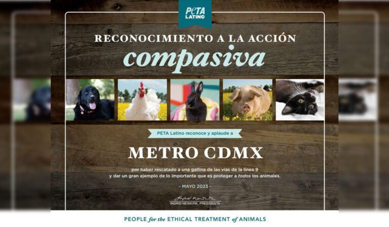 Metro recibe reconocimiento de PETA tras salvar gallina de las vías en L 9
