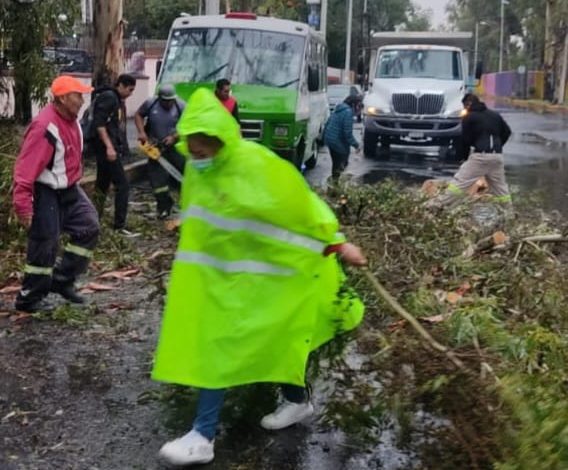 Atiende Coyoacán emergencia por lluvias con ráfagas de viento atípicas