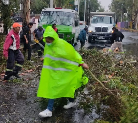 Atiende Coyoacán emergencia por lluvias con ráfagas de viento atípicas