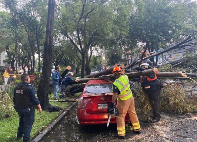 Atiende Coyoacán emergencia por lluvias y ráfagas de viento atípicas