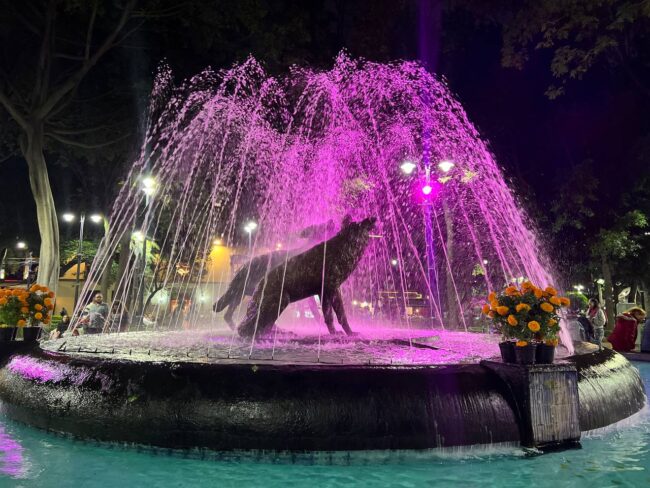 Coyoacán se ilumina de rosa por Día Mundial contra el Cáncer de Mama