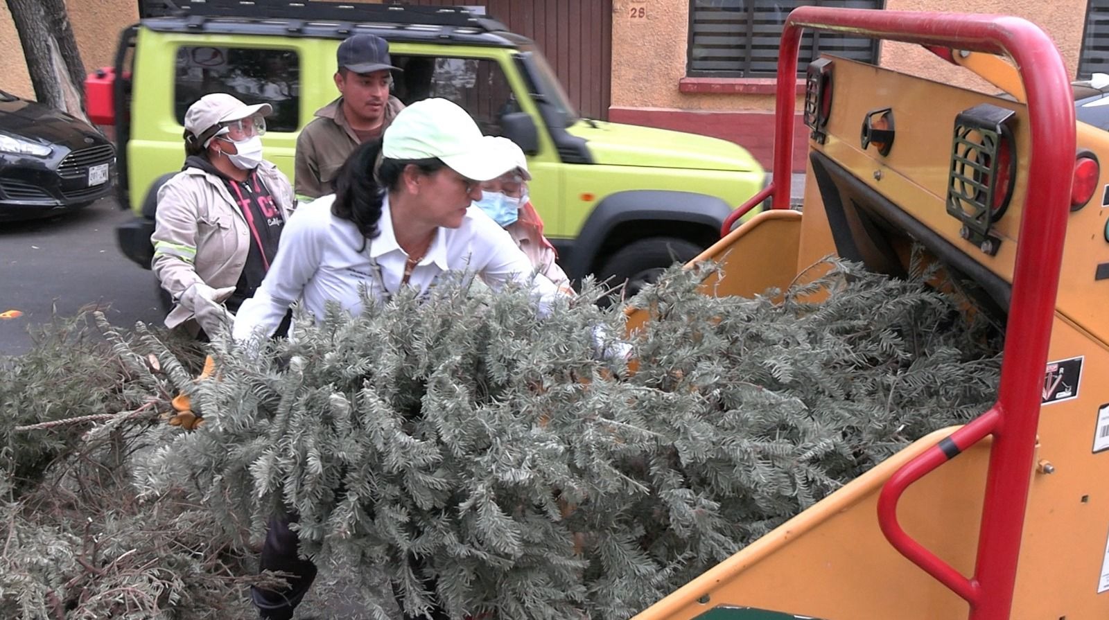 Más de 5 mil árboles navideños naturales se reciclaron en ÁO este 2024: Lía Limón