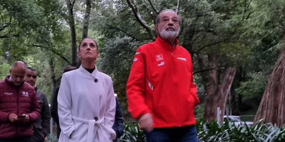 Slim tiene responsabilidad moral en L-12