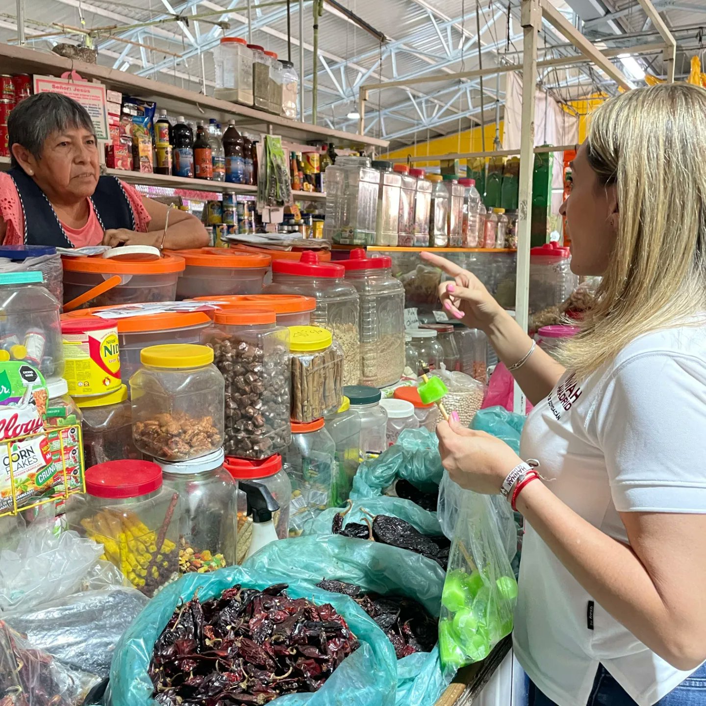 Propone Hannah manga ancha al comercio ambulante en Coyoacán