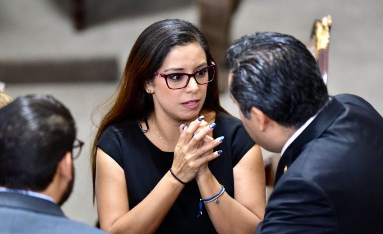 La diputada y vicecoordinadora del PAN en el Congreso de la Ciudad de México, Luisa Gutiérrez Ureña denunció la proliferación de clínicas clandestinas en CDMX, y urgió identificarlas para poderlas clausurar, ya que ponen en riesgo la salud de los capitalinos. FOTO: Especial