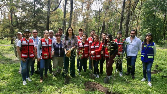 Encabeza Lía Limón cuarta jornada de reforestación