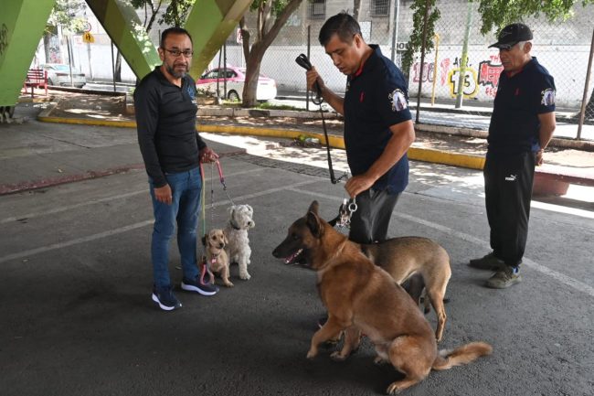 Reafirma Alcaldía Azcapo compromiso con el bienestar animal