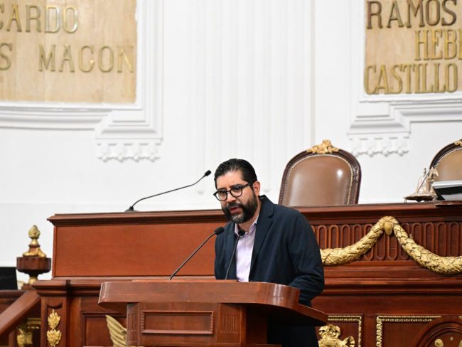   Piden aplicar normatividad en pensiones, estéticas y guarderías para mascotas