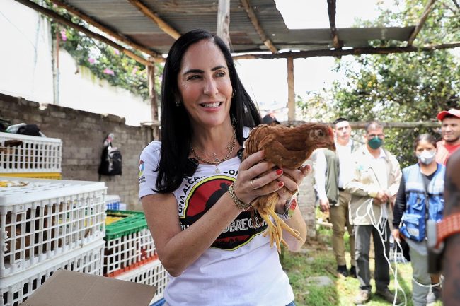 Álvaro Obregón, “Alcaldía con muchos huevos”, Lía Limón entrega mil 800 gallinas ponedoras a 180 familias