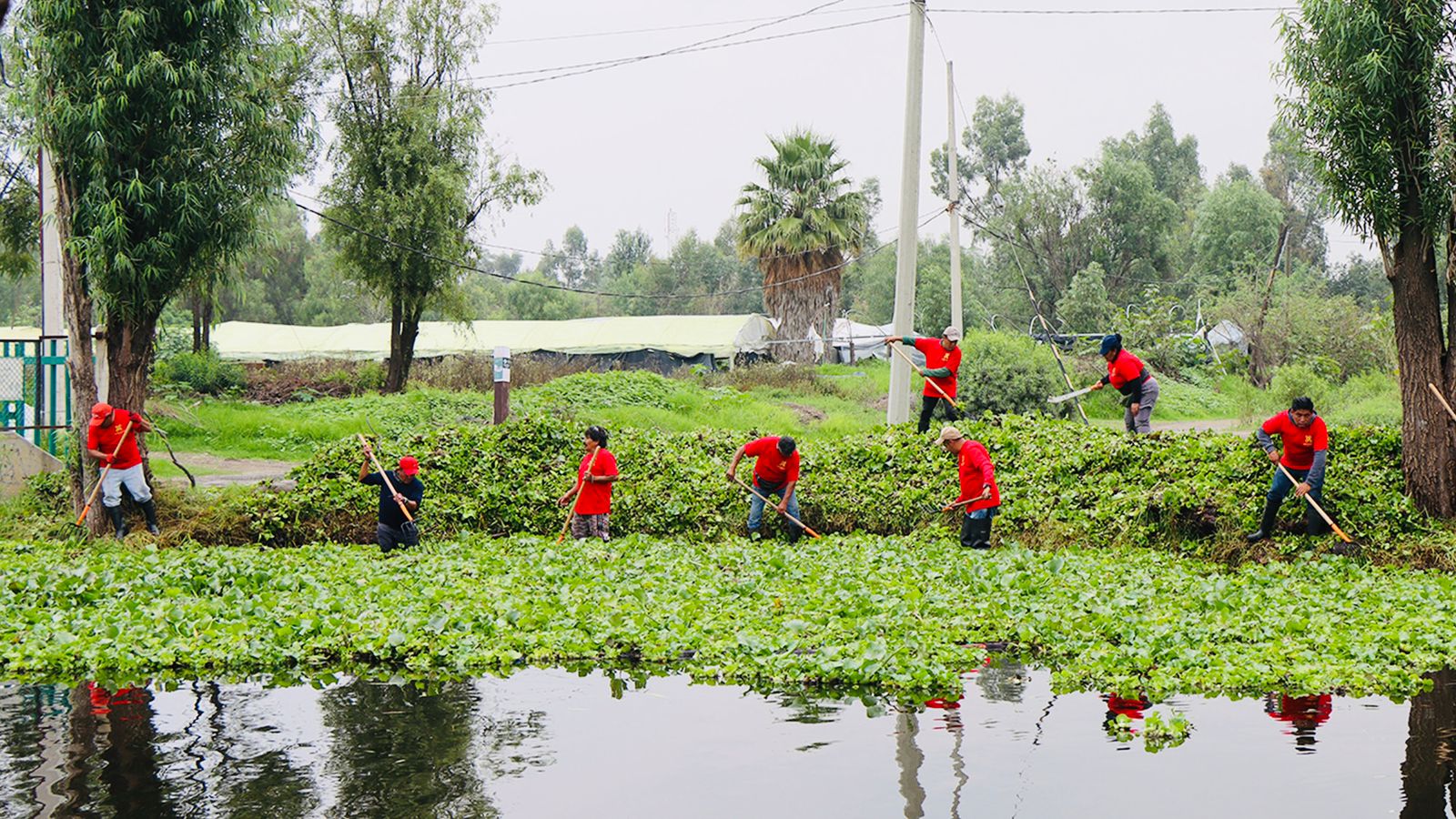 Alcaldía Xochimilco recupera sus canales y genera empleos temporales para la comunidad