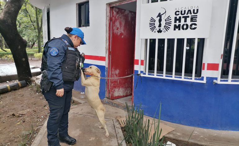 “Abandonar a un animal no solo es cruel, es un delito”, acusa Rojo de la Vega.