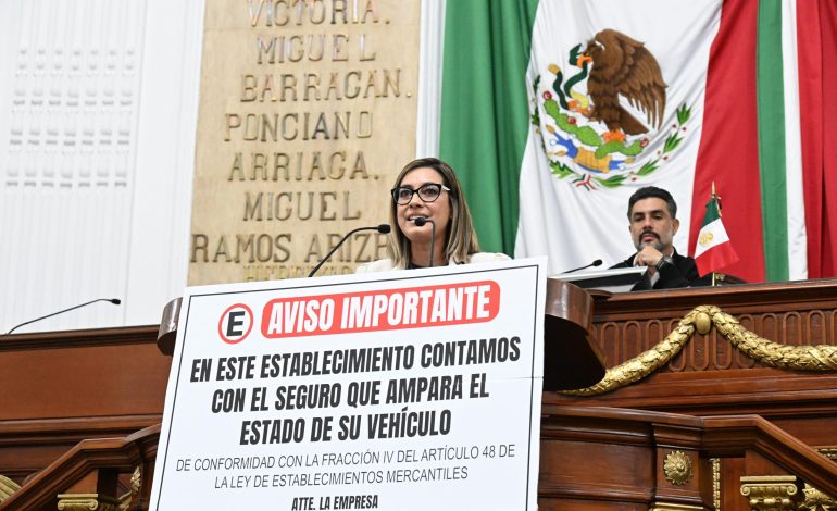 Impulsa PT reforma contra ‘estacionamientos mafiosos’, Jannette Guerrero, diputada PT. FOTO: Especial