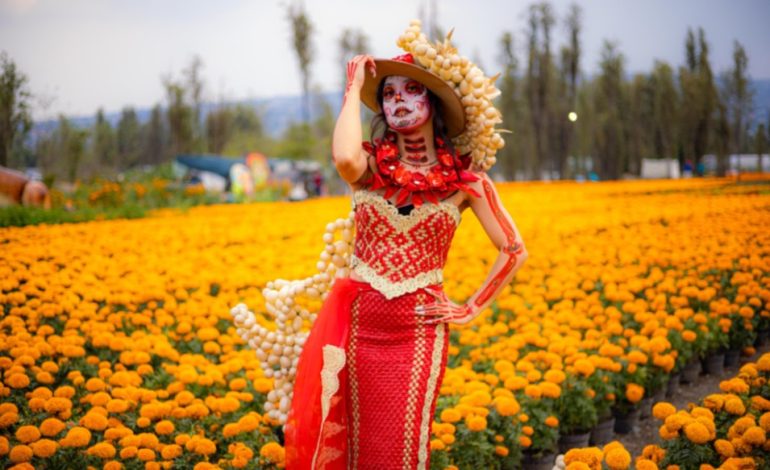 CDMX celebrará el Día de Muertos con 500 actividades