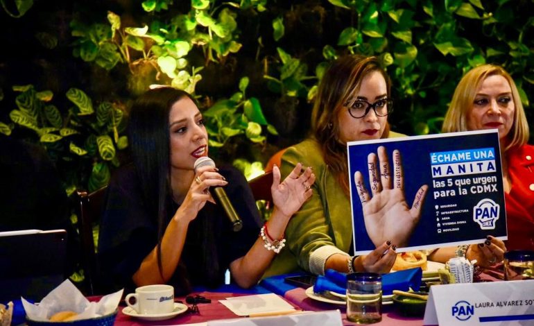 En el PAN, las causas ciudadanas por sobre alianzas: Luisa Gutiérrez