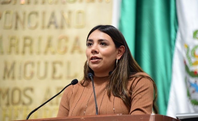 El pleno del Congreso capitalino solicitó a la Secretaría de Seguridad Ciudadana y la Subsecretaría de Programas de Alcaldías y Reordenamiento de la Vía Pública del gobierno de la Ciudad de México, en colaboración con la alcaldía Xochimilco, realizar operativos de verificación y clausura de establecimientos clandestinos en la vía pública dedicados a la venta y consumo de bebidas alcohólicas en el pueblo de San Gregorio Atlapulco. FOTO: Especial
